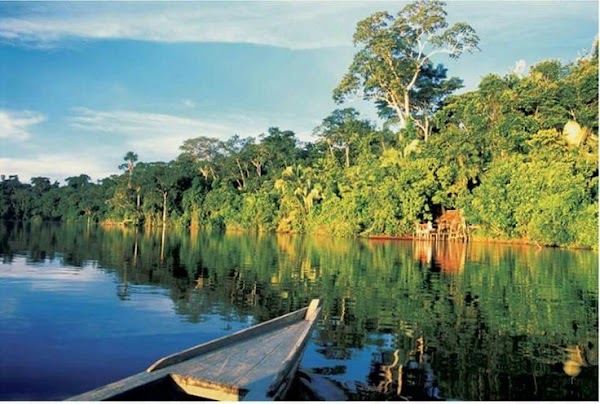 Amazon River 2