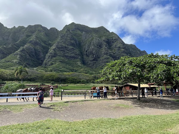 Kualoa Ranch 6