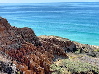 Torrey Pines State Natural Reserve 2