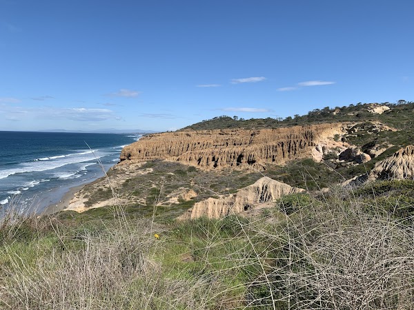 Torrey Pines State Natural Reserve 1