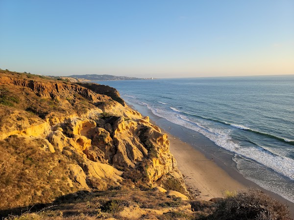 Torrey Pines State Natural Reserve 6