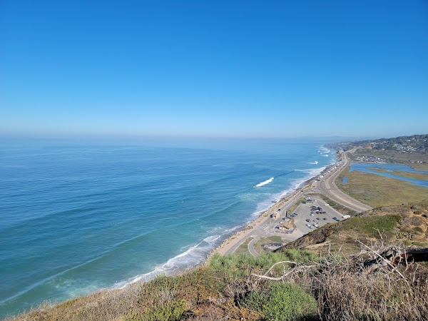 Torrey Pines State Natural Reserve 5