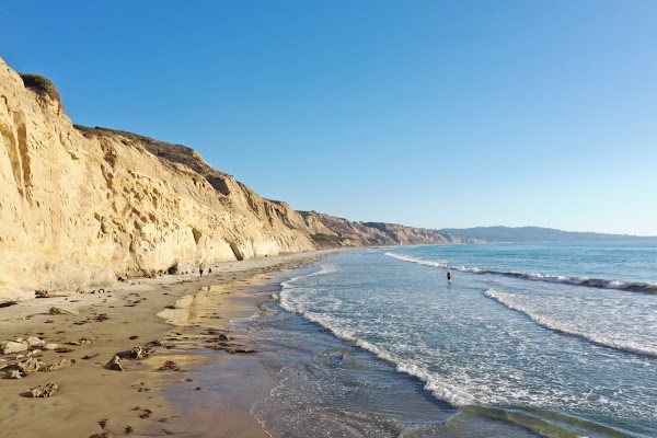 Torrey Pines State Natural Reserve 4