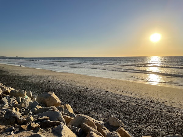 Torrey Pines State Natural Reserve 3