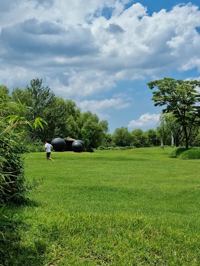 Noeul Park 1