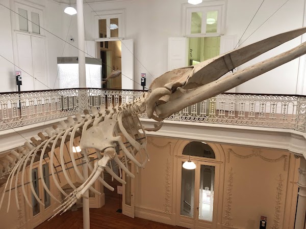 Jardim Botânico do Porto | Museu de História Natural e da Ciência da U.Porto 2