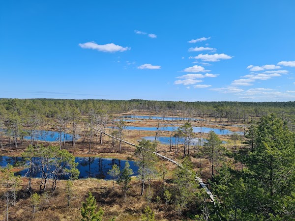 Lahemaa National Park 1