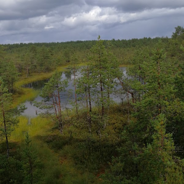 Lahemaa National Park 4
