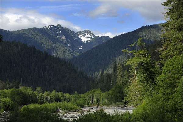 Olympic Mountains