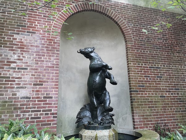 Central Park Delights: A Journey Through the Heart of Manhattan's Green Oasis 3