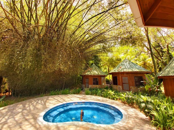 The Lodge at Pico Bonito . 4