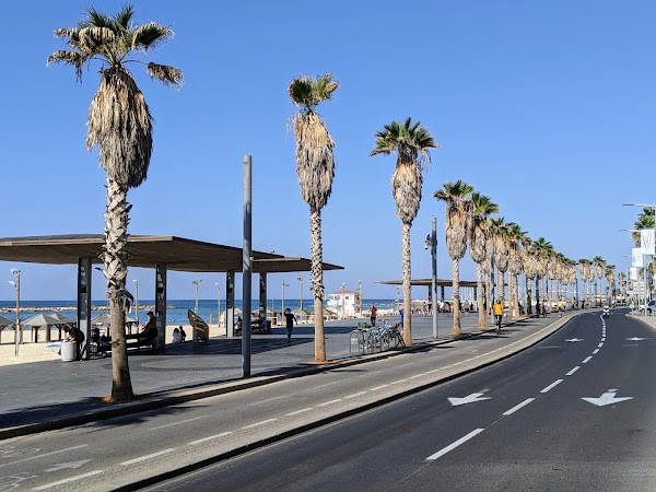 Aviv Beach 3