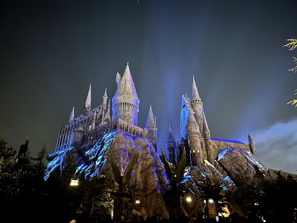 The Wizarding World of Harry Potter 4