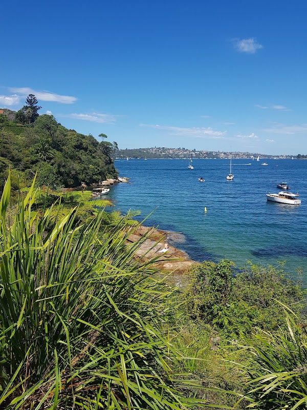 Bradleys Head to Chowder Bay walk 4