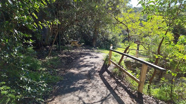 Bradleys Head to Chowder Bay walk 3