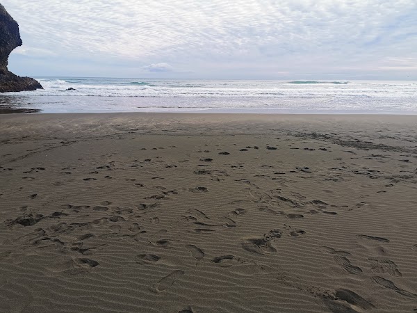 Piha black sand beach 4