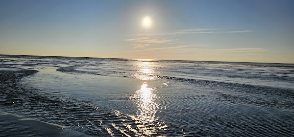 Piha black sand beach 2
