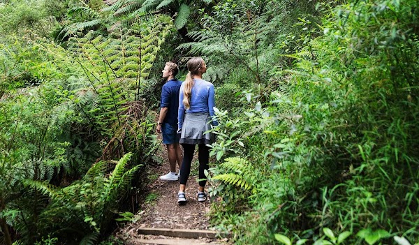 Melba Gully (Parks Victoria) 1
