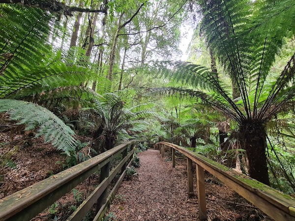 Melba Gully (Parks Victoria) 4