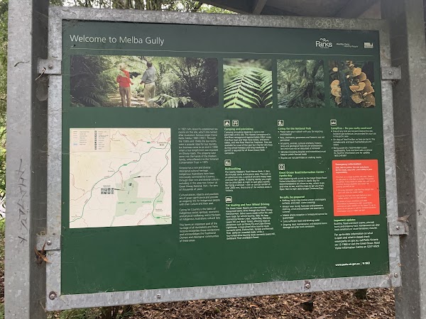Melba Gully (Parks Victoria) 2