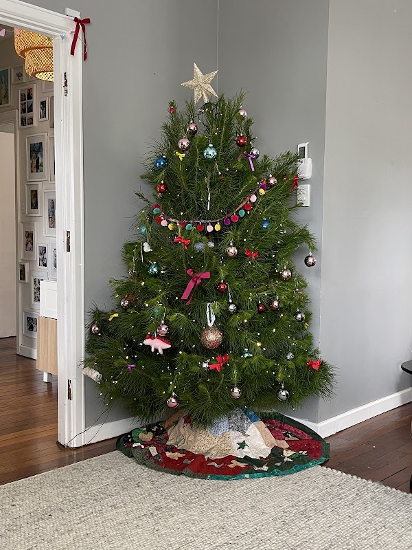 Wilbury's Traditional Christmas Trees