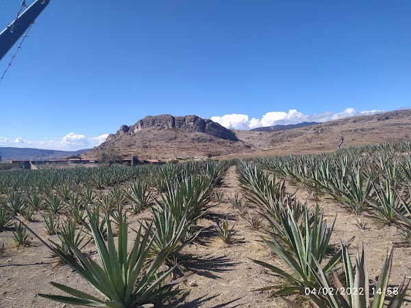 San Pablo Villa de Mitla