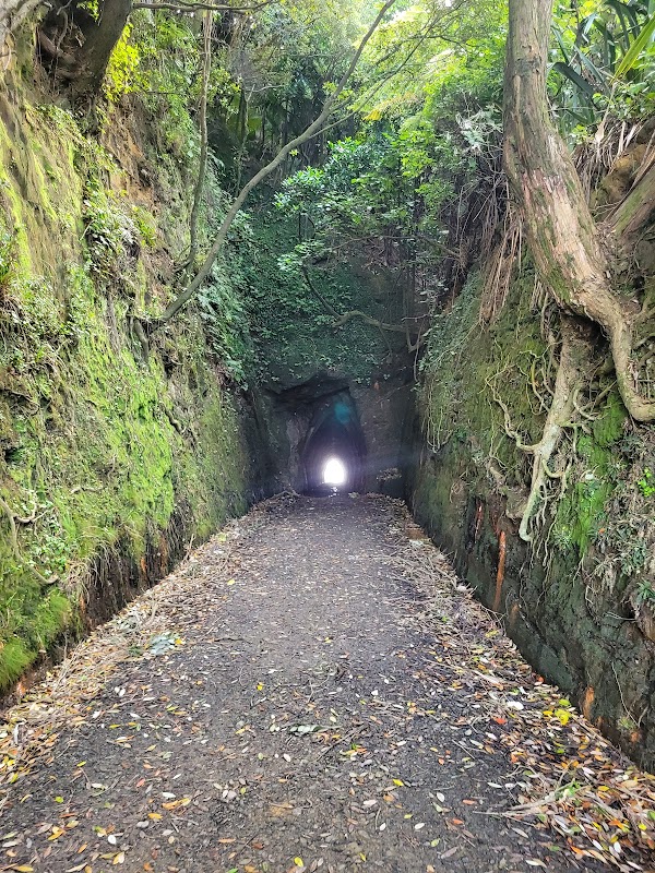 Waikawau Tunnel Beach 4