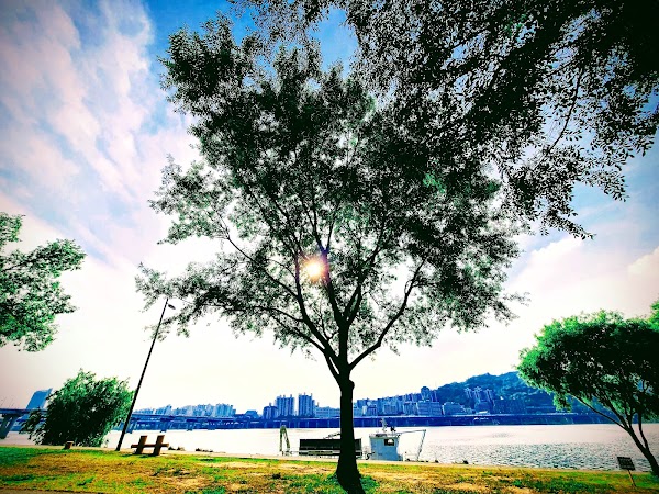 Gwangnaru Hangang Park 3