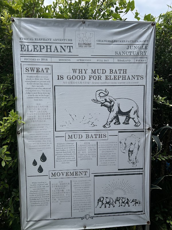 Elephant Jungle Sanctuary Phuket 2