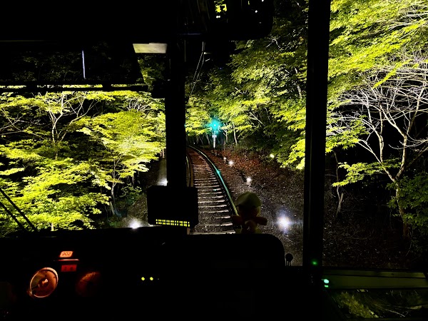 もみじのトンネル 4