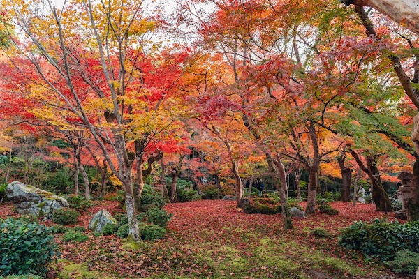 Enkōji Temple 3