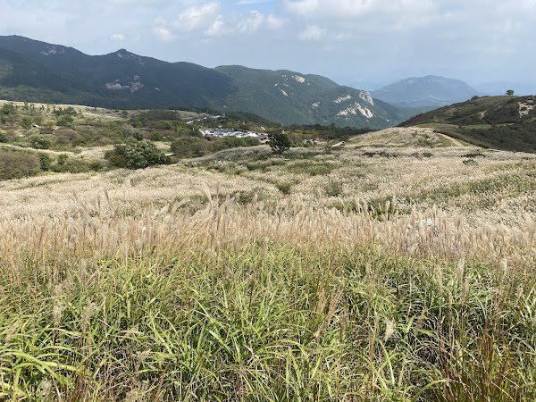 황매산 억새 군락지