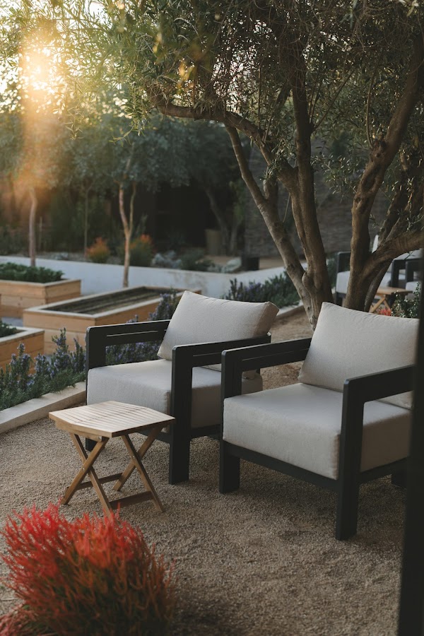 Olivea Farm to Table