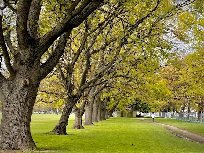 Hagley Park North 2