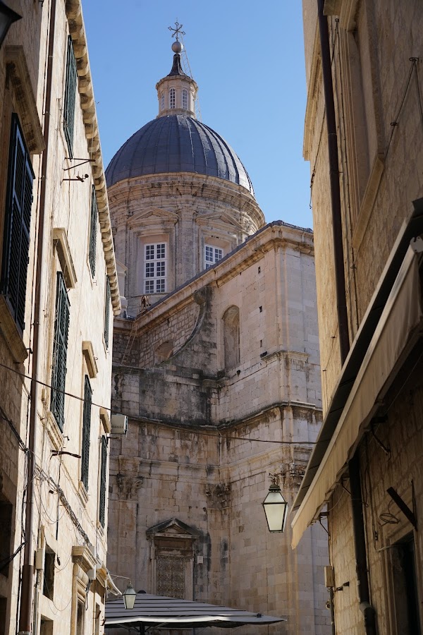 The Cathedral of the Assumption of the Virgin Mary 6