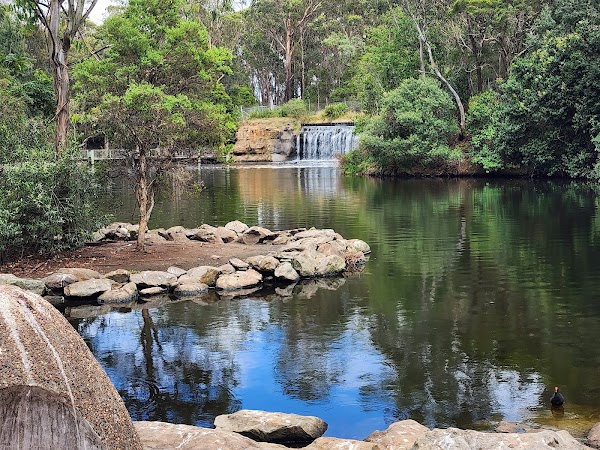 Central Gardens Nature Reserve 1
