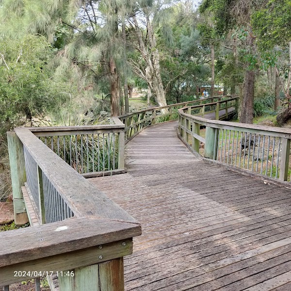 Central Gardens Nature Reserve 5