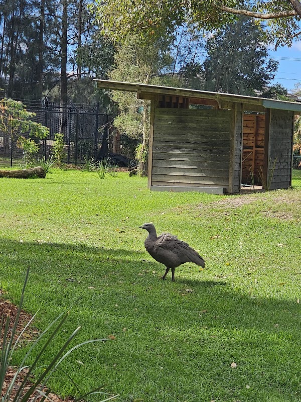 Central Gardens Nature Reserve 4