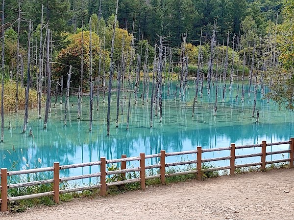 Shirogane Blue Pond (Aoiike) 4