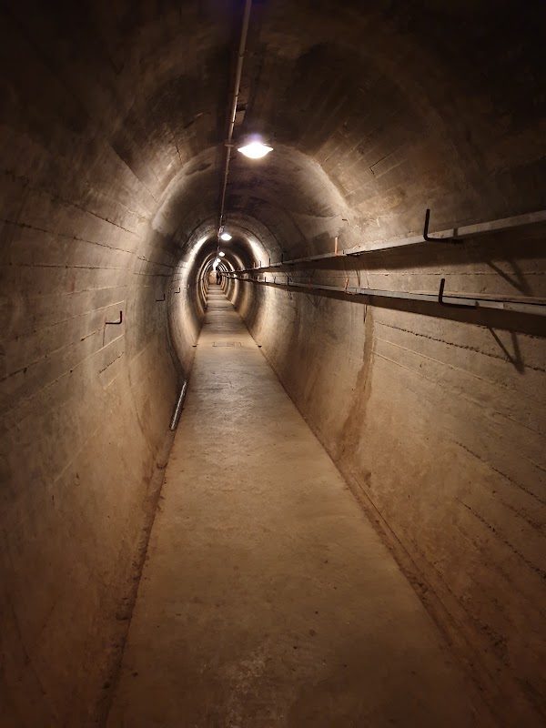 Wrights Hill Fortress 5