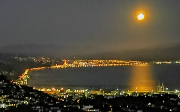 Wrights Hill Fortress 2