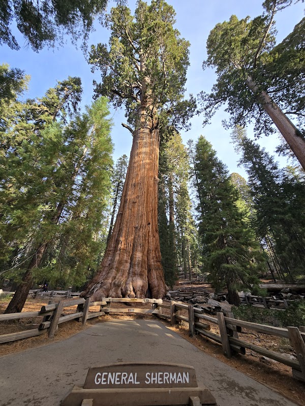 Sequoia & Kings Canyon National Parks