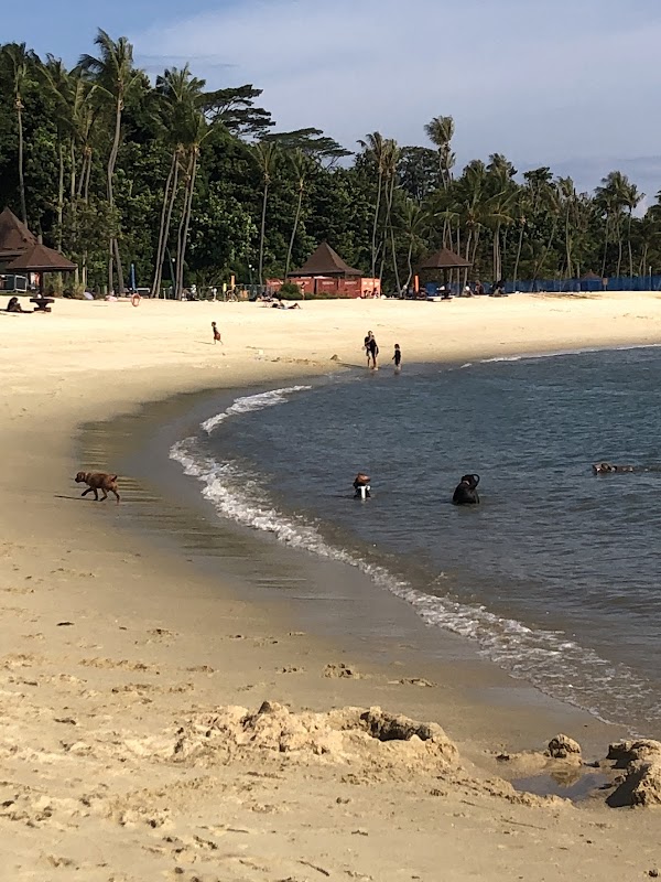 Tanjong Beach Club 6