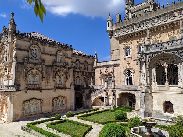 Buçaco National Forest 5