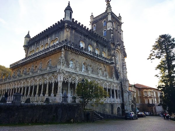 Buçaco National Forest 4