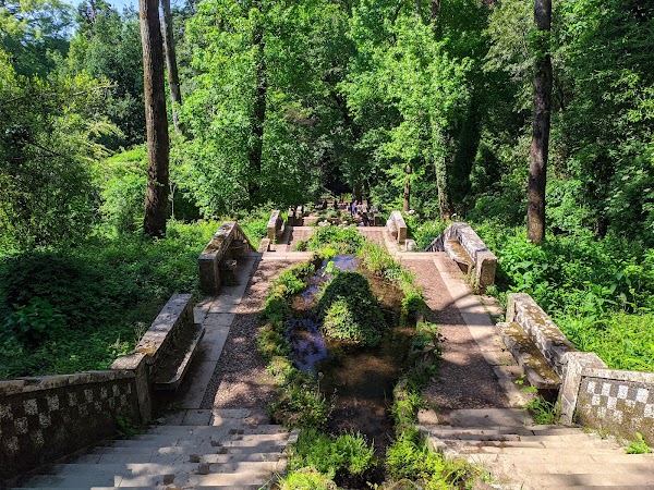 Buçaco National Forest 2