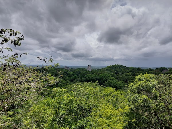 Tikal National Park 5