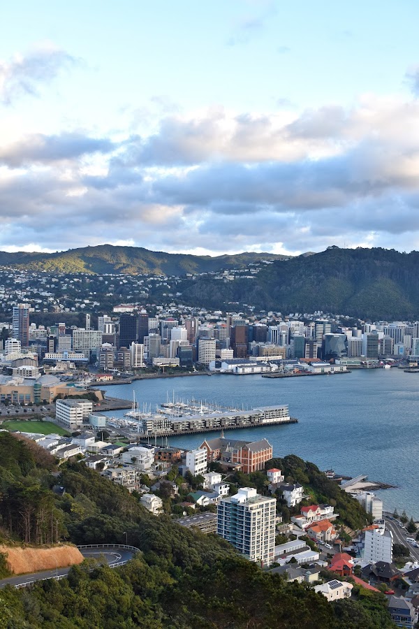 Mount Victoria Lookout Walkway