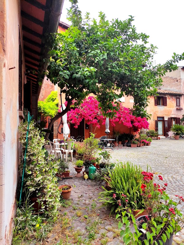 Castello di Giulio II 4