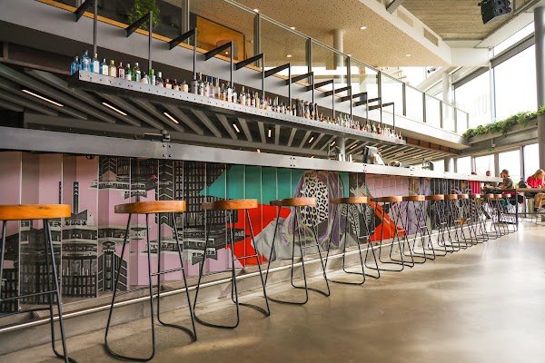 THE BUTCHER Social Club 2